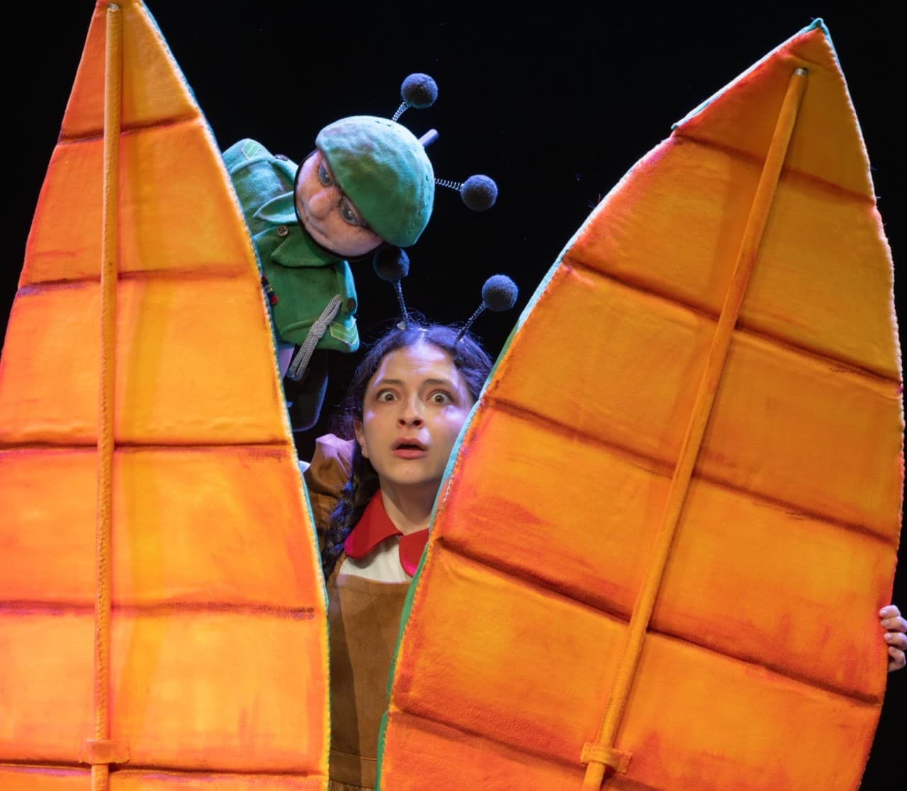 הצגת ילדים בדיונה - משלים של נמלים - תיאטרון אורנה פורת