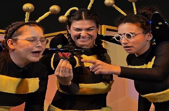 הכנפיים של מימי