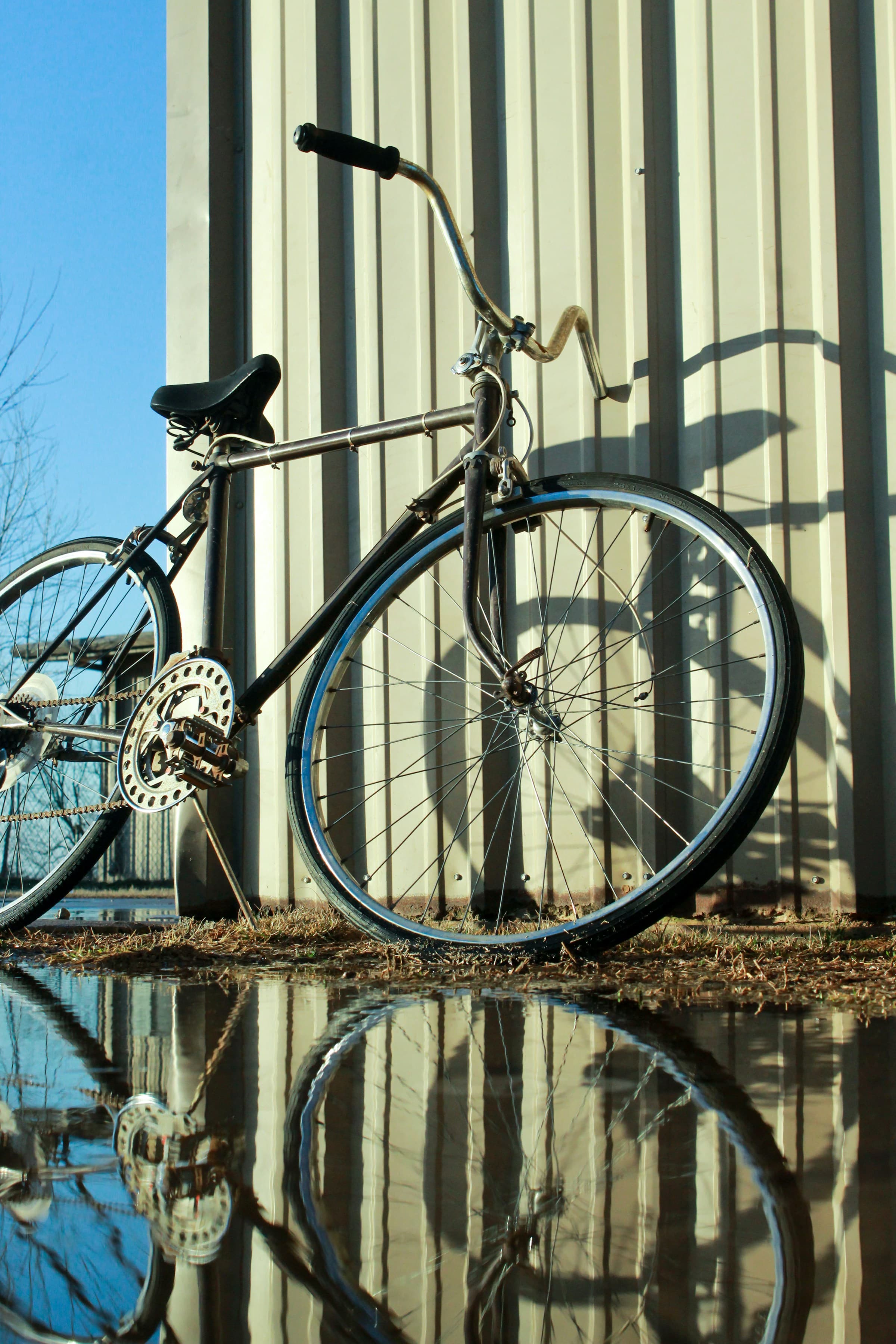 * מופע בזום: נוי לוין  - ״"יש לי מערכת יחסים עם הפיצה שלי": הסעודות הגדולות בקולנוע