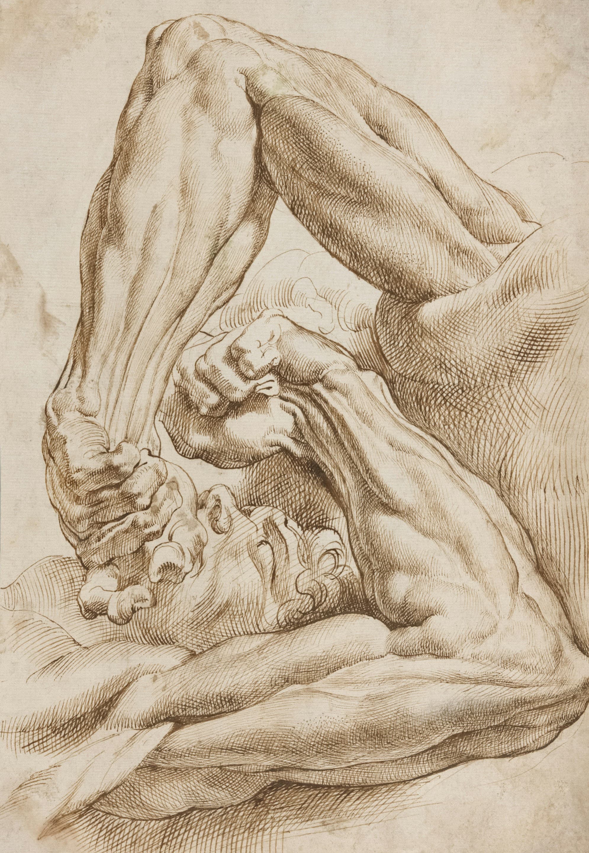 * מופע בזום: דוד איבגי -  מחול המכחול