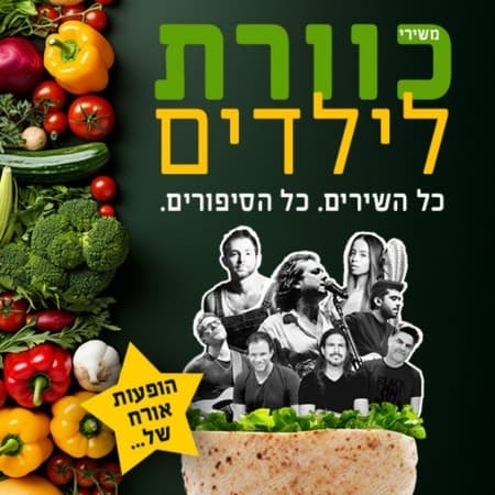 כוורת לילדים