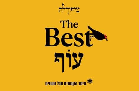 the best עוף | ציפורלה