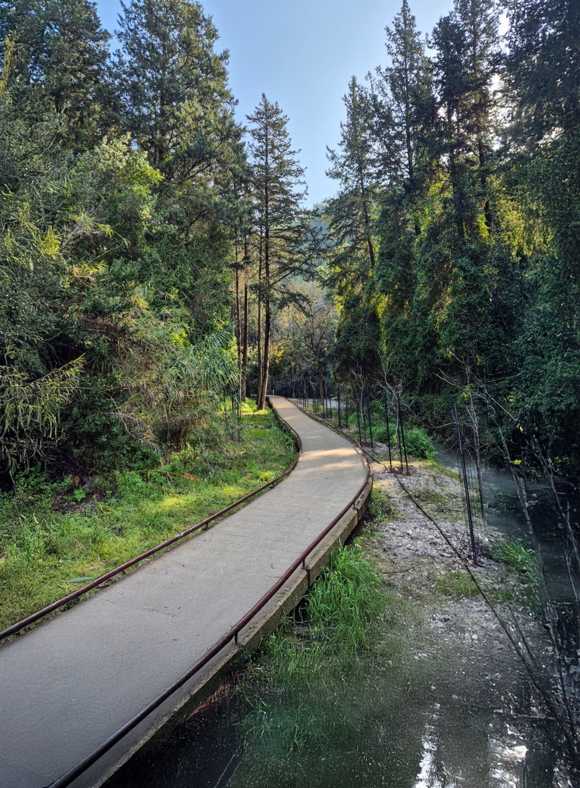 סדנת צילום נגישה בטלפון בנחל השופט