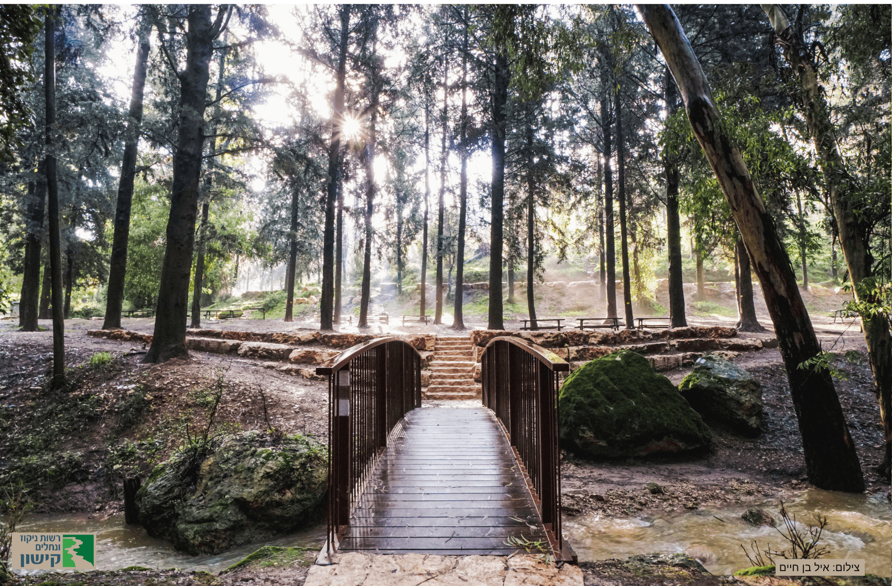 טיול משפחתי ב"יער הפיות" של נחל גחר!
