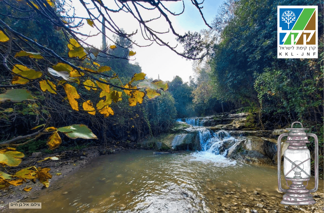 סיור עששיות בשביל הנגיש בנחל השופט בהדרכת קק"ל