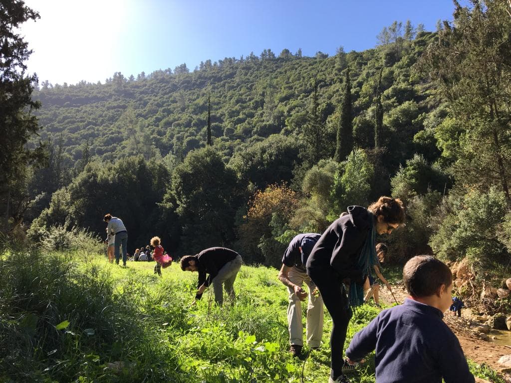 מלקטים ומבשלים בטבע – חוויה משפחתית במגידו