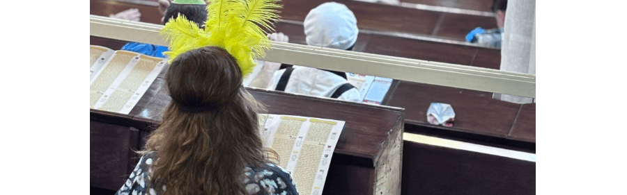 פורים בנווה אביבים