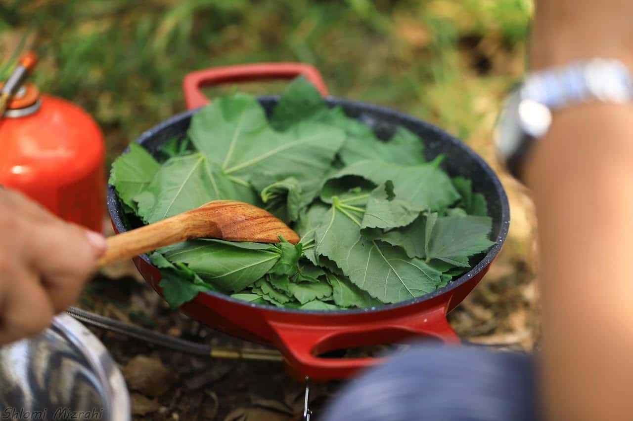 סיור ליקוט בגני יהושע