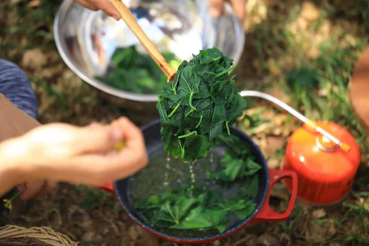 סיור ליקוט בפארק בגין