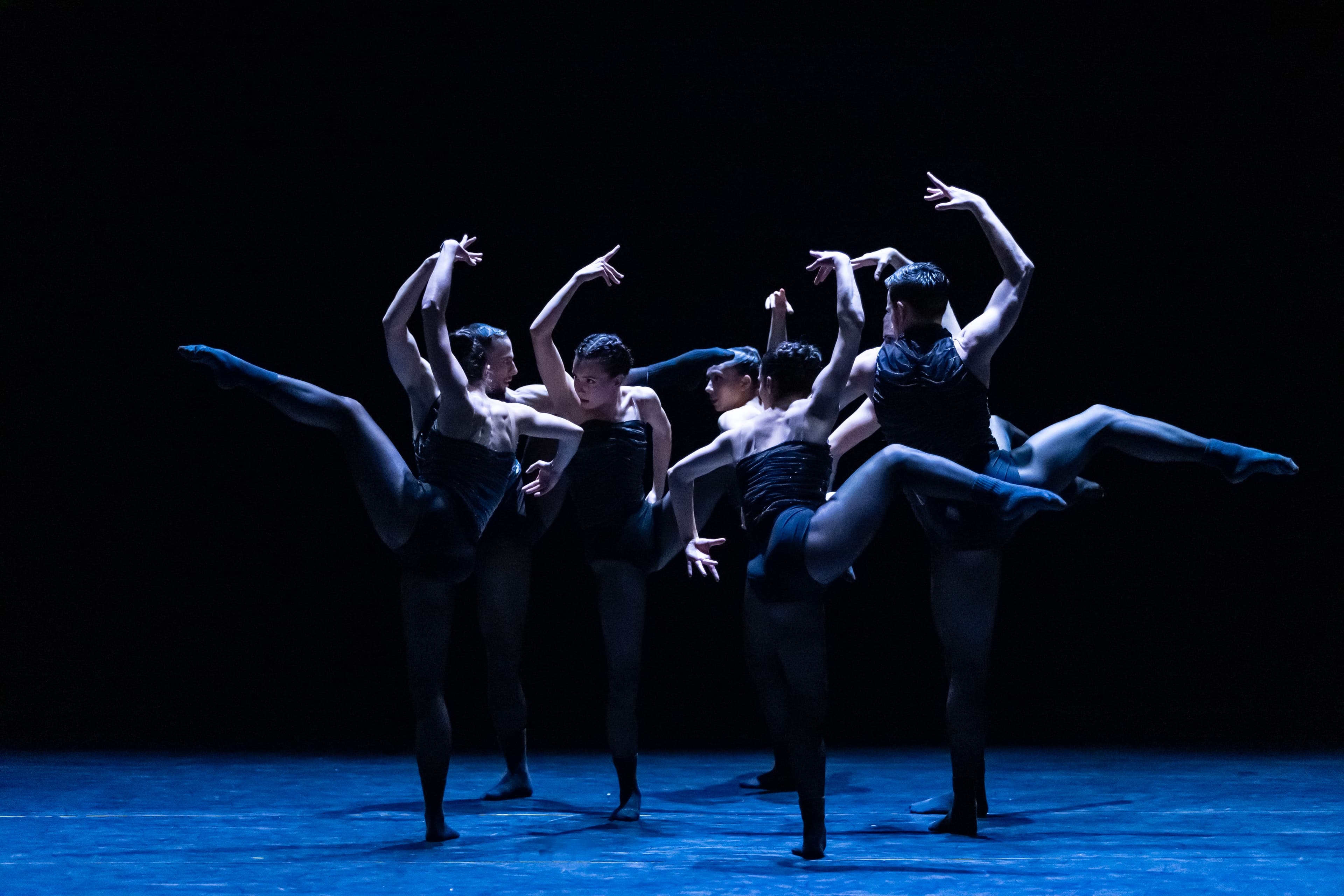 "גודאני ופניאדיקיס|" להקמת קמע