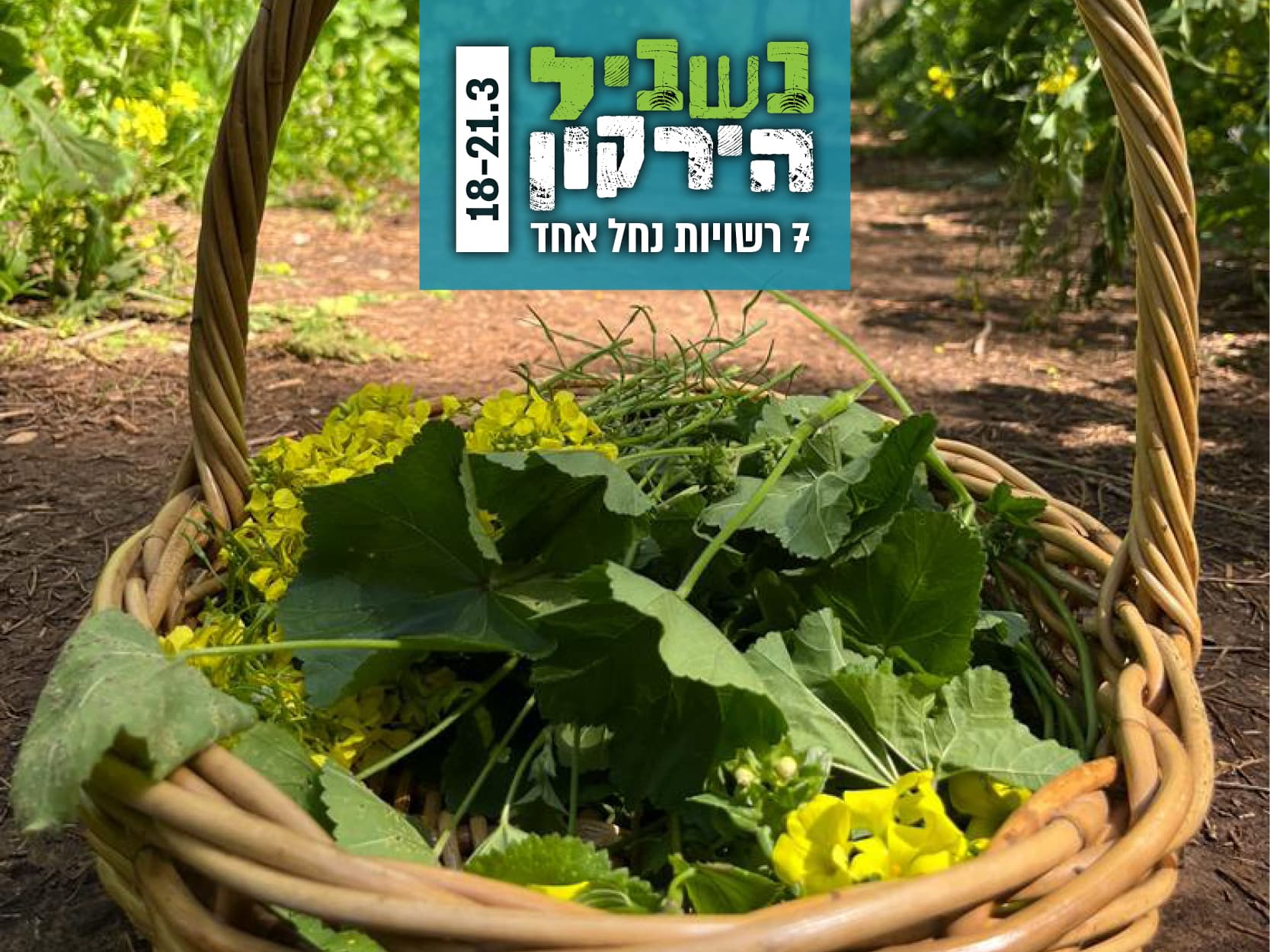 סיור ליקוט נחל פרדסים