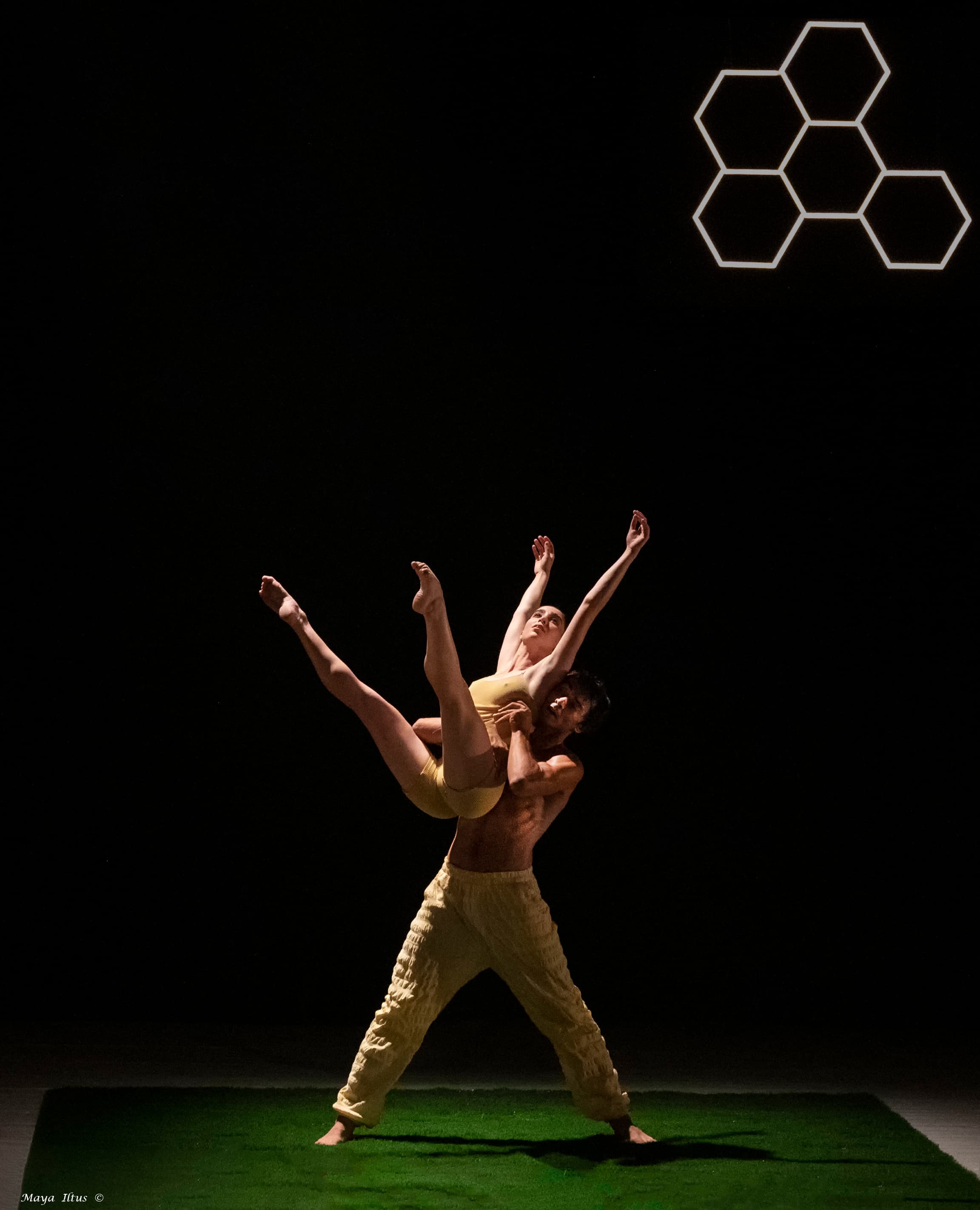 GEM להקת  |  waggle dance