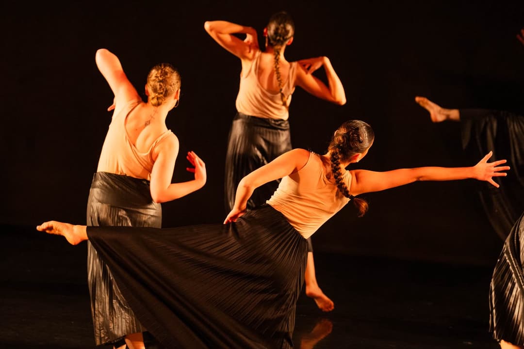 The New Dancer מסלול להכשרת רקדנים.ות   מופעי קיץ – "רוקדים רפרטואר" #5