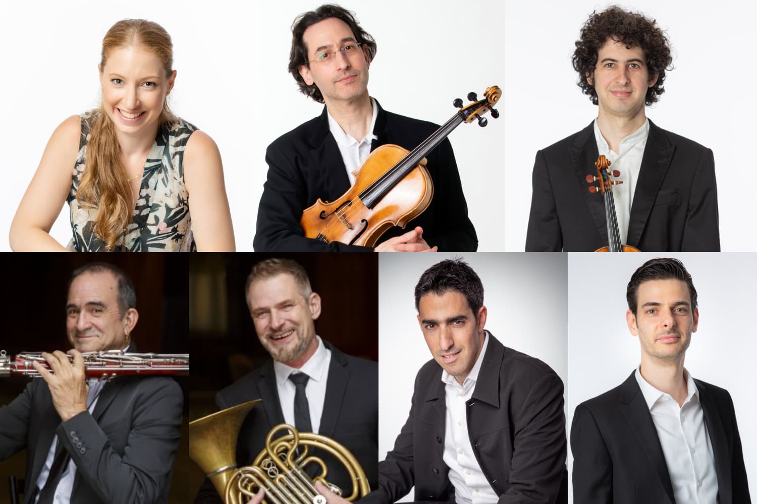 הפרויקט הקאמרי הישראלי