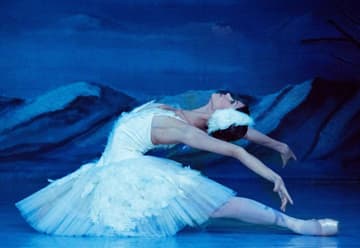 אגם הברבורים-בלט גורדייב