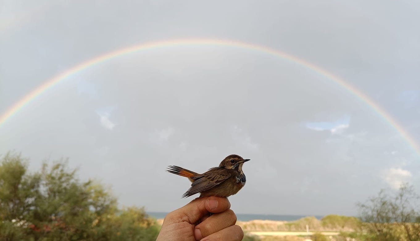 סיור זריחה בפארק הצפרות מעגן מיכאל