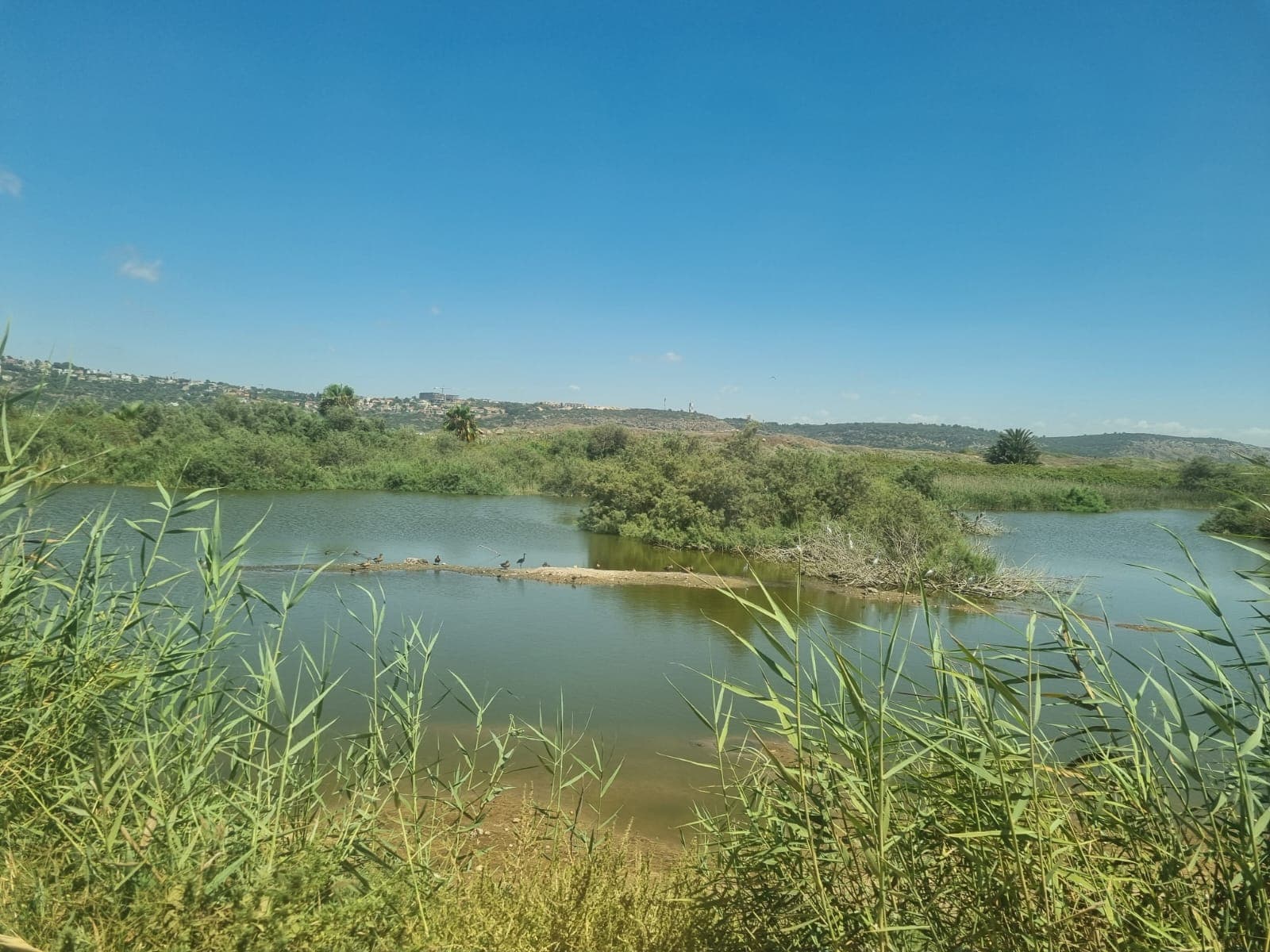 טיול בגבעת הפרחים ודיפלה