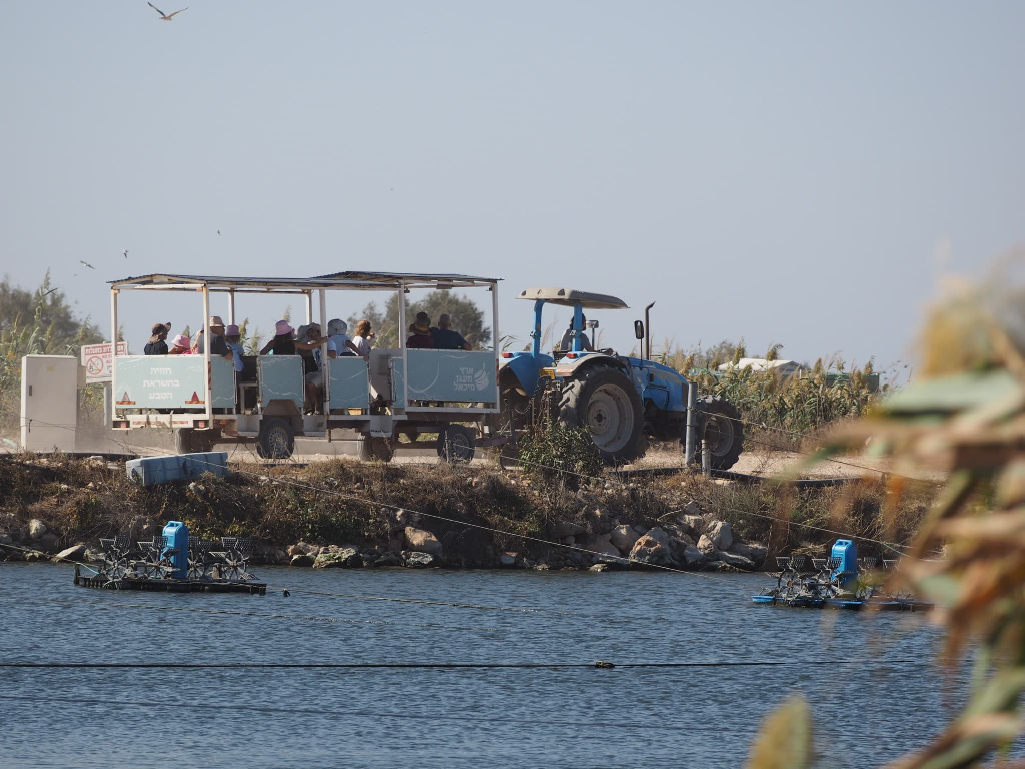 הרפתקה בעגלת טרקטור