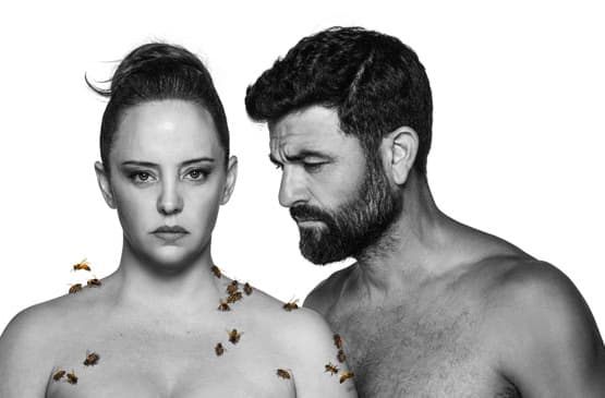 מדיאה - ת' הקאמרי