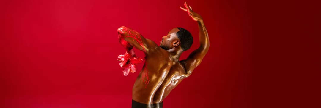 BOLERO X – שחר בנימיני