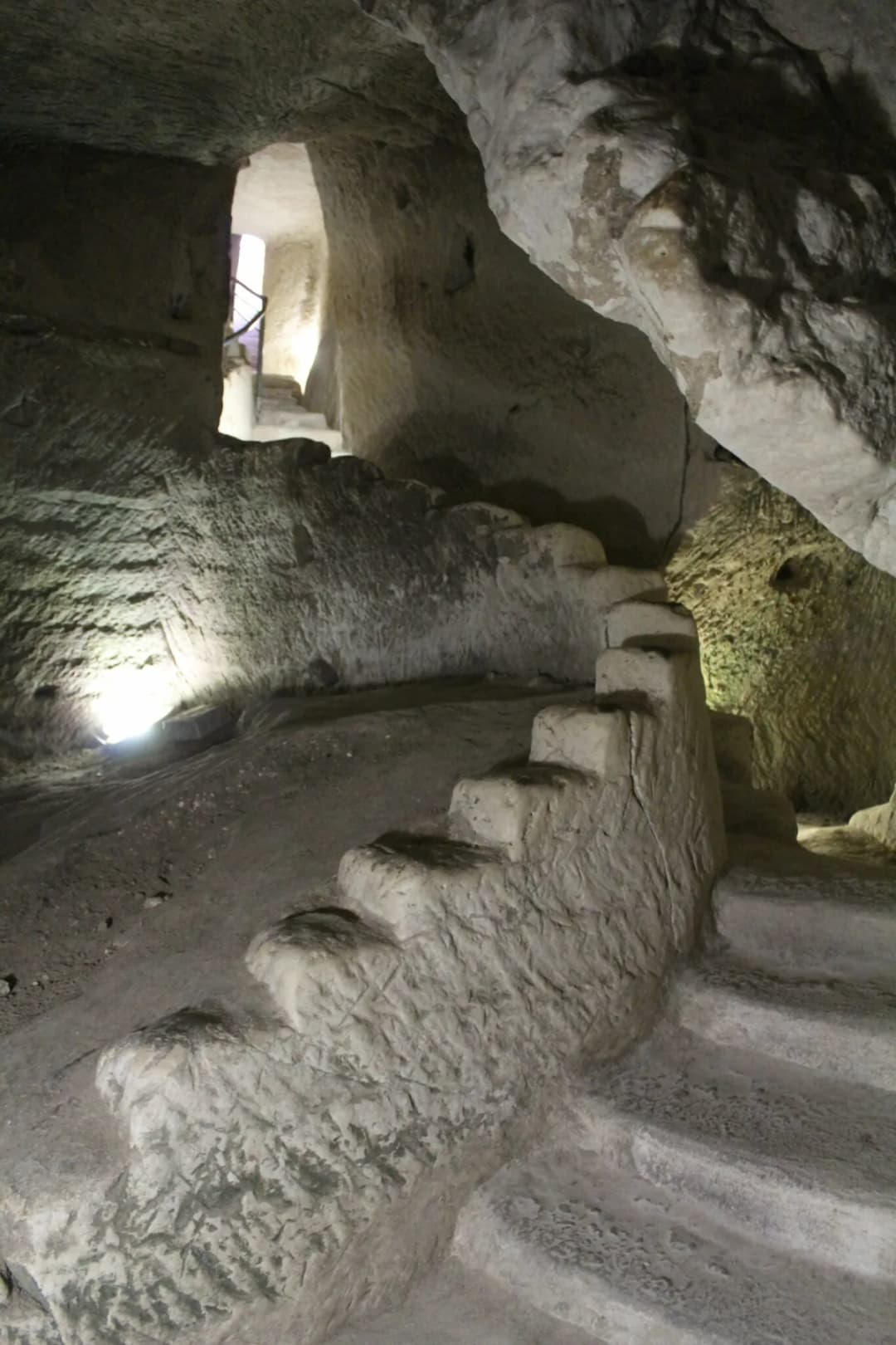 בין חורבה לפריחה