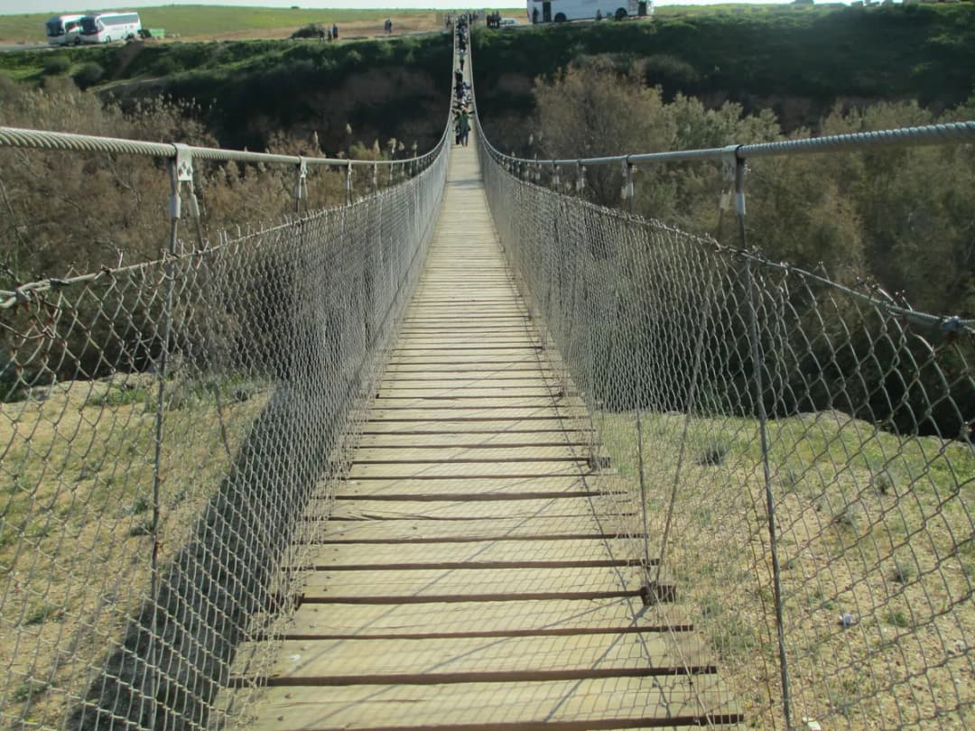 בין גשרים תלויים
