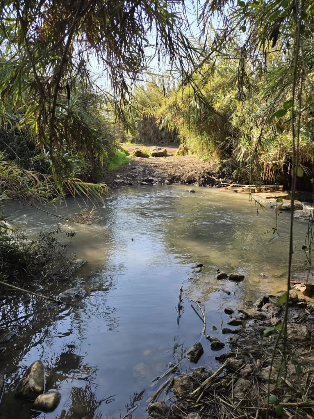 קהילה צועדת