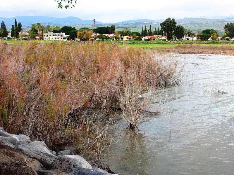 שביל סובב כינרת – מערב