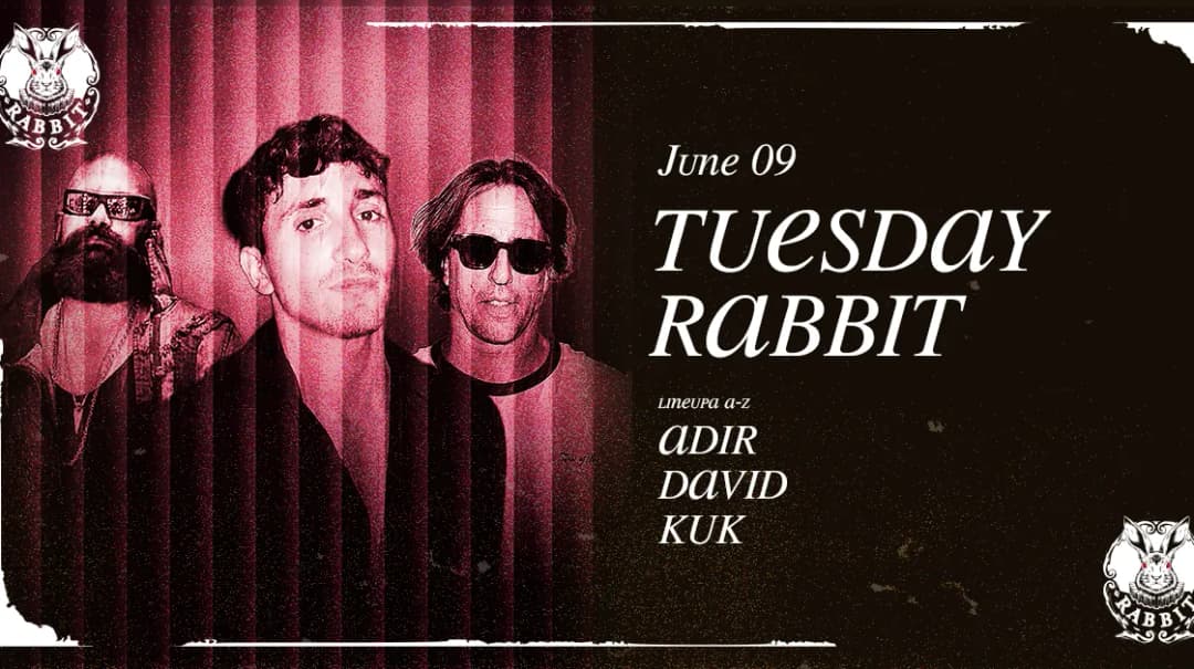 //TUESDAY// Rabbit /09.06