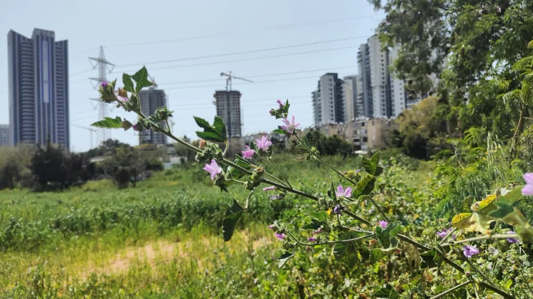 סיור בנחל פרדסים