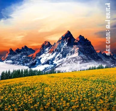 צלילי המוזיקה – המחזמר