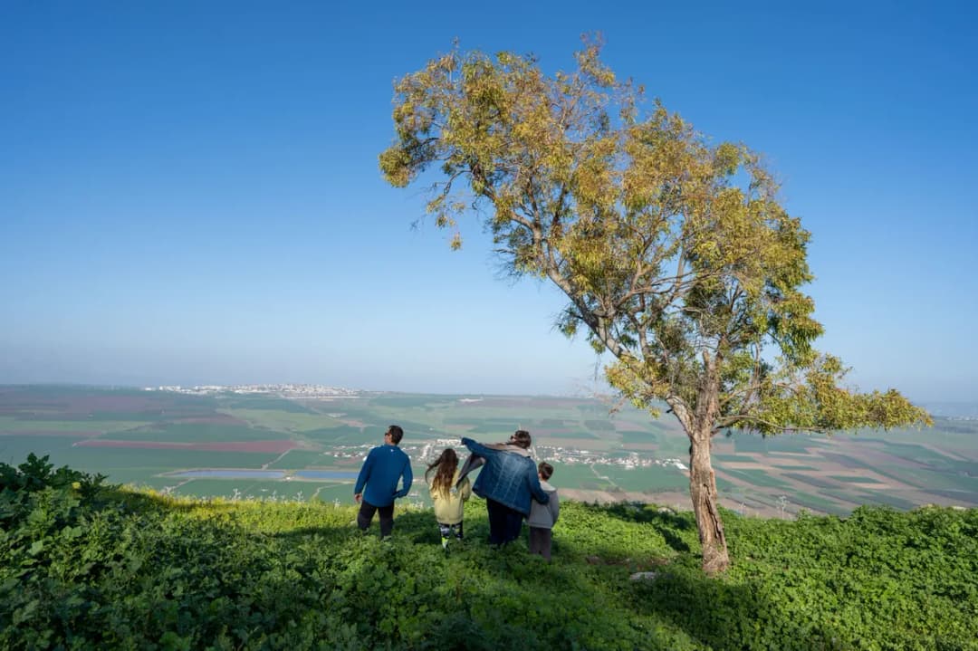מפסגות ההרים אל המעיינות