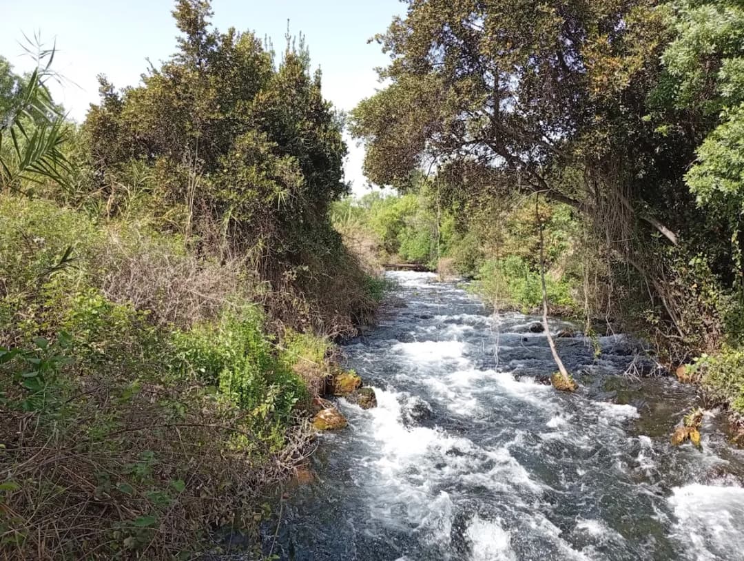 חופשת ט"ו באב בחרמון