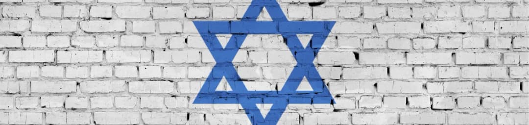 ''המאסטרו'' - הרצאה מוזיקאלית