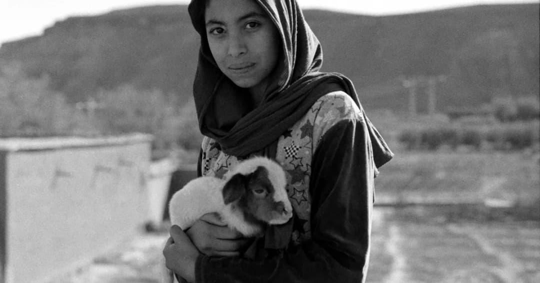 סיור מודרך בתערוכה אן שׂימין שטרית: מלאכי