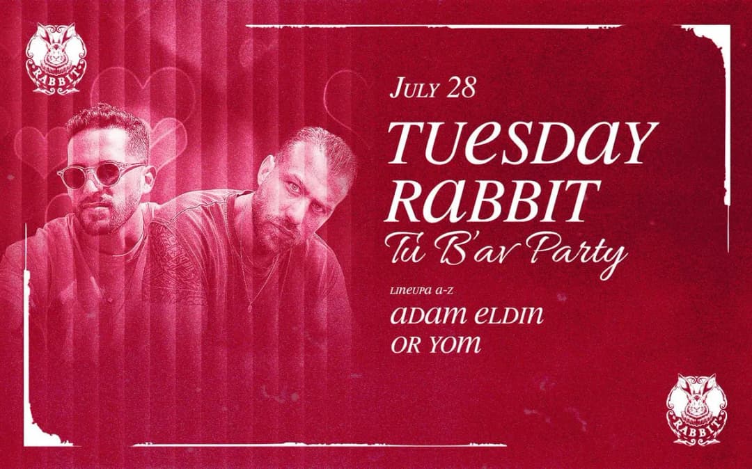 TU B AV //Tuesday// Rabbit //28.07