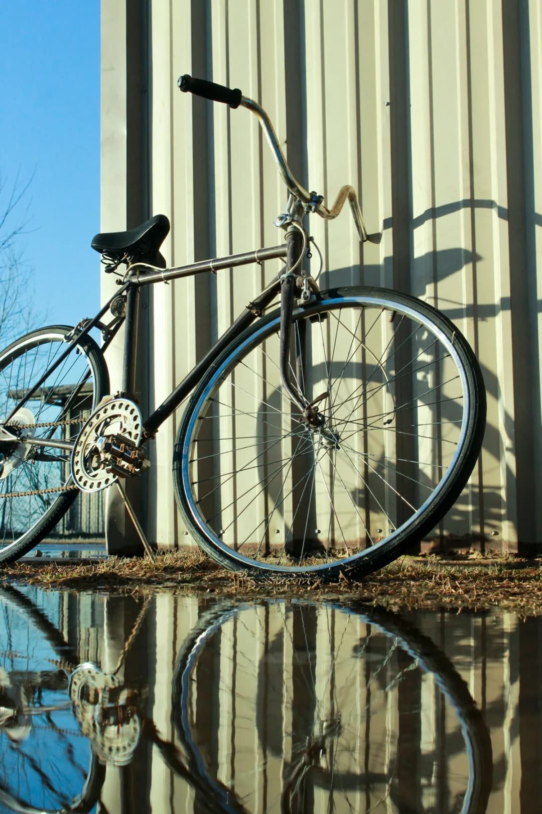 מופע באולם: נוי לוין - "יש לי מערכת יחסים עם הפיצה שלי": הסעודות הגדולות בקולנוע