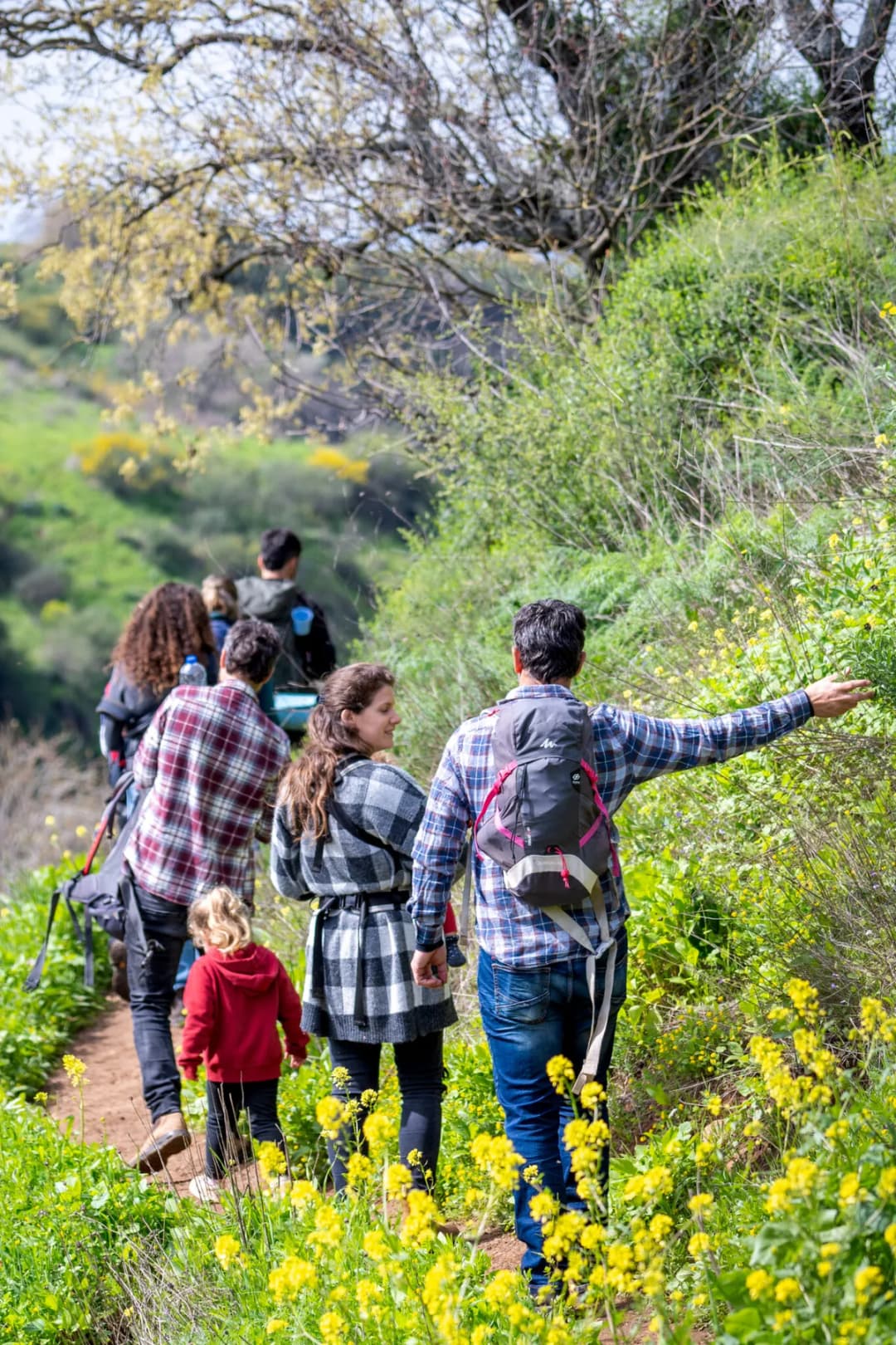 חגיגת פסח בגולן