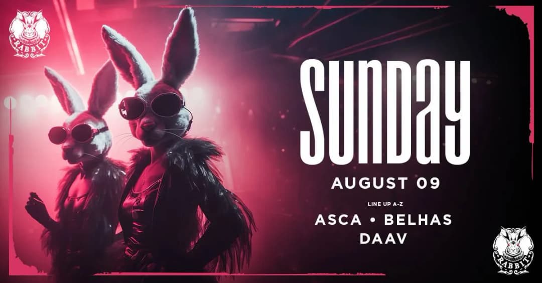 SUNDAY// Rabbit //09.08//