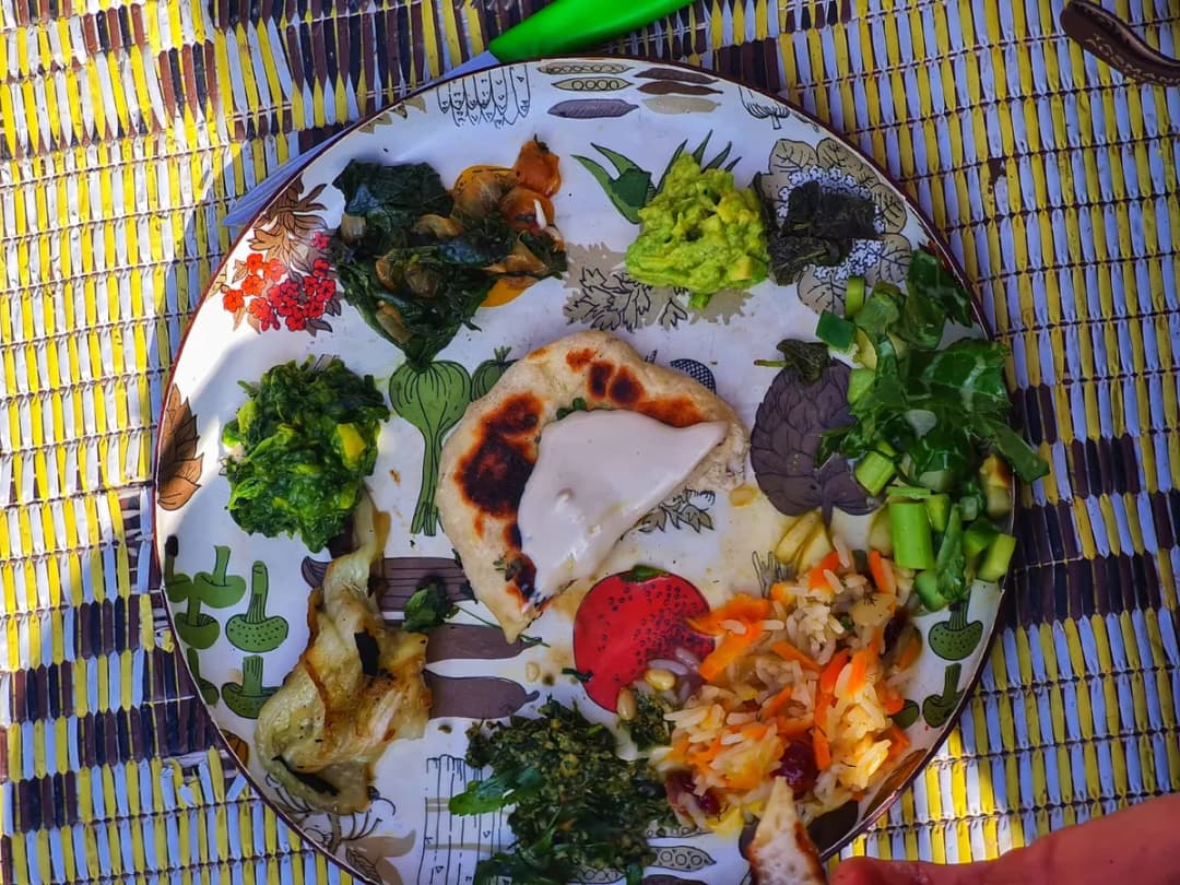 סיור ליקוט וארוחה ביער