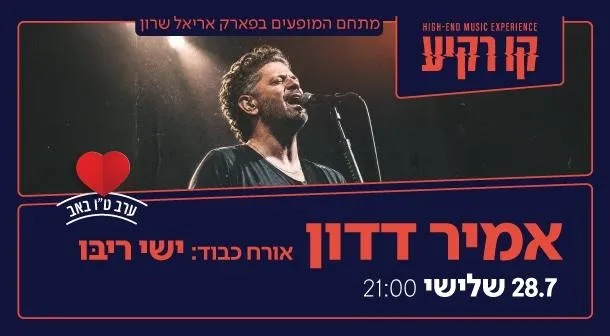 אמיר דדון