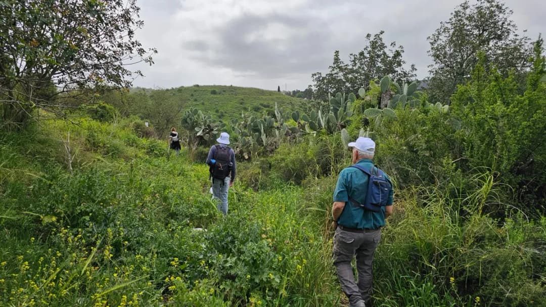 טיול משפחות בשביל מגידו