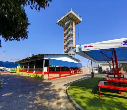 פארק אתגרים אשדוד: פעילויות וכיף לכל המשפחה
