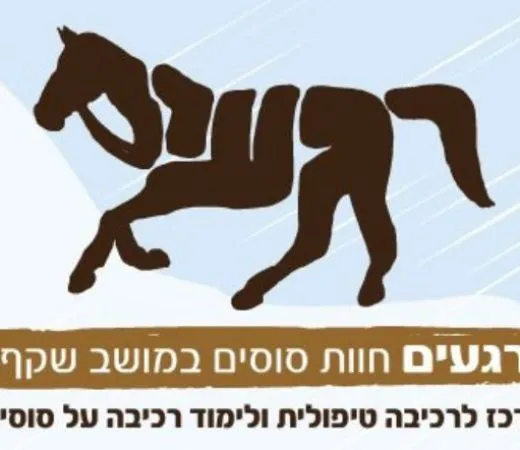 רגעים: חוות סוסים במושב שקף
