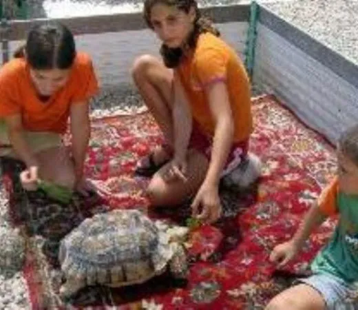 עולם הזוחלים של גולן
