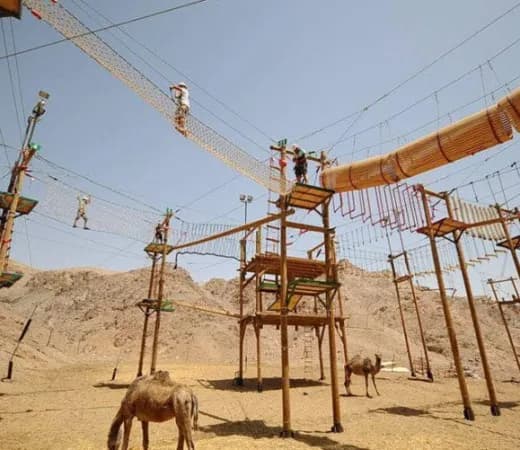 חוות הגמלים אילת