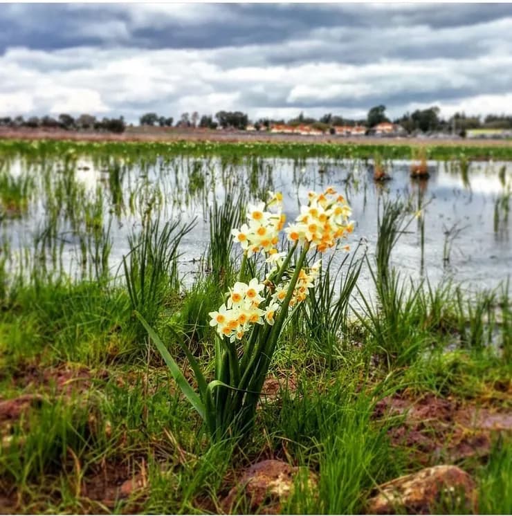 Haganat Hateva Nature Tracks
