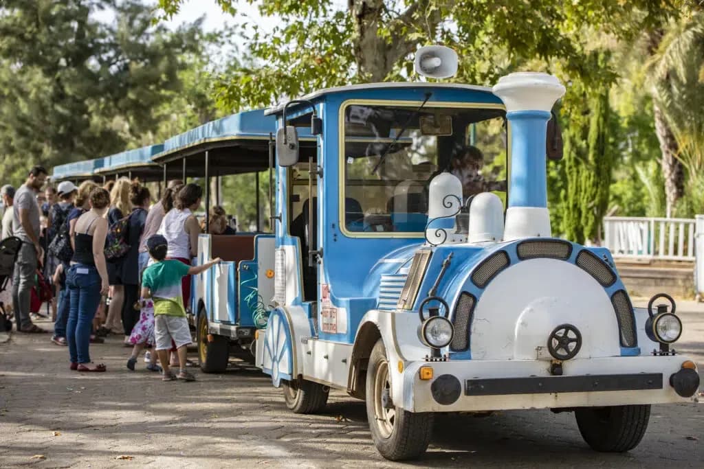 רכבת ננסית