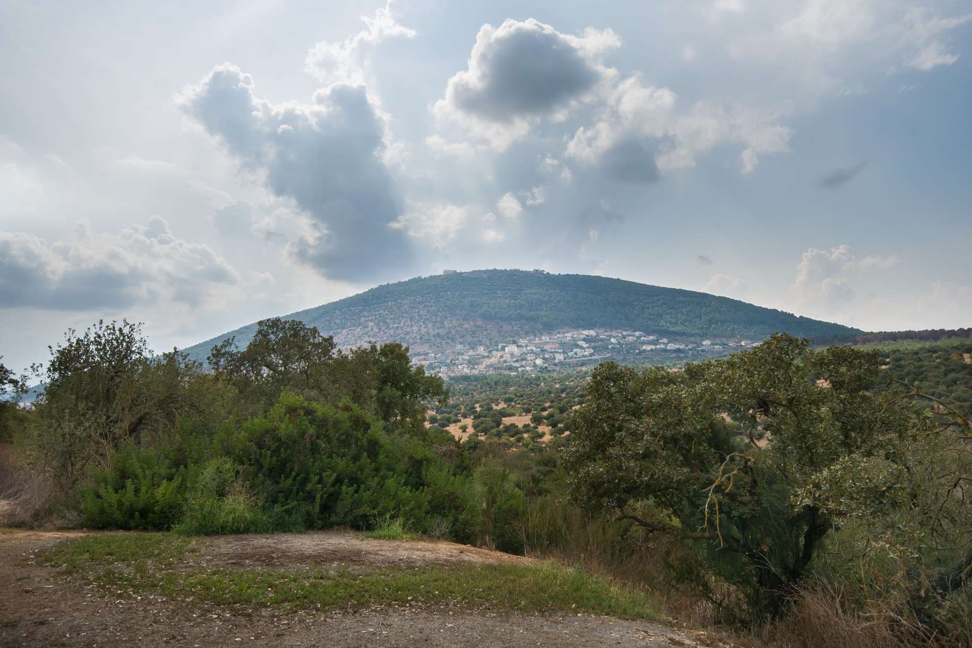 סובב פסגת הר תבור