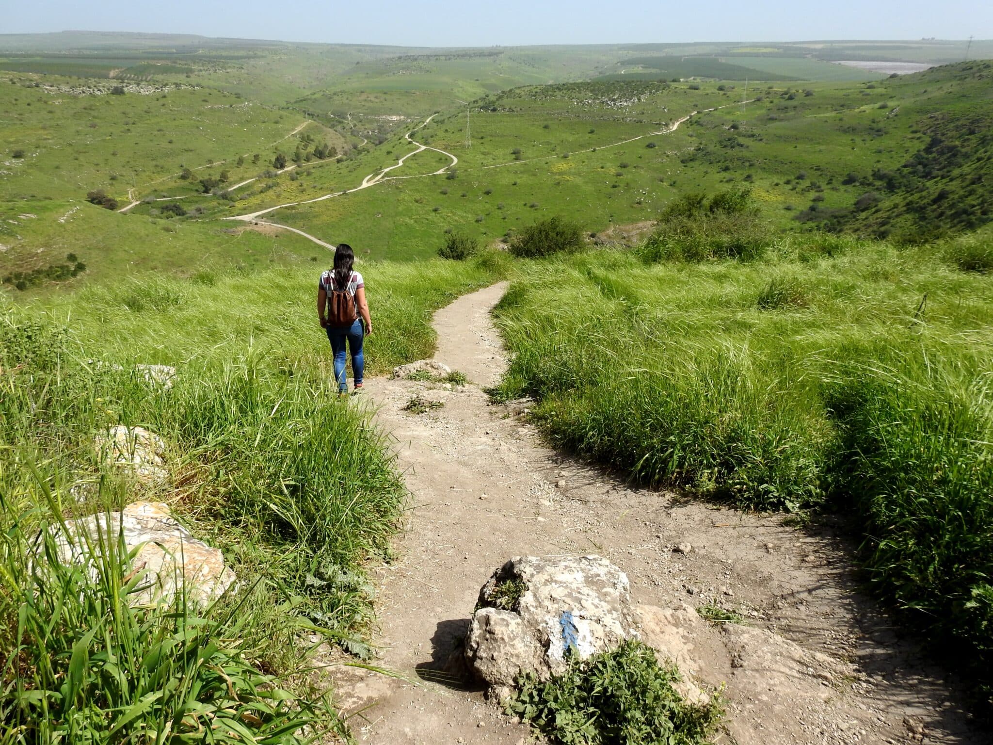 זרימות ומפלים בנחל תבור